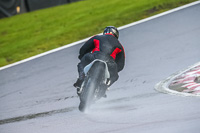 PJ-Motorsport-Photography-2020;anglesey;brands-hatch;cadwell-park;croft;donington-park;enduro-digital-images;event-digital-images;eventdigitalimages;mallory;no-limits;oulton-park;peter-wileman-photography;racing-digital-images;silverstone;snetterton;trackday-digital-images;trackday-photos;vmcc-banbury-run;welsh-2-day-enduro